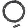 Inel dințat pentru starter 66T DRAG SPECIALTIES 148138