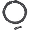 Inel dințat pentru starter 66T DRAG SPECIALTIES 148138 Inel dințat pentru starter 66T DRAG SPECIALTIES 148138 thumb