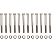 Set de șuruburi M8 pentru carter cu cap tip allen negre DRAG SPECIALTIES MK778BK Set de șuruburi M8 pentru carter cu cap tip allen negre DRAG SPECIALTIES MK778BK thumb
