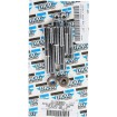 Set de șuruburi cromate pentru montarea motorului cu capete netede DRAG SPECIALTIES MK267S Set de șuruburi cromate pentru montarea motorului cu capete netede DRAG SPECIALTIES MK267S thumb