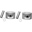 Piston de înlocuire XL-1200CC 3.498 Piston de înlocuire XL-1200CC 3.498