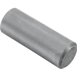 Piston pompă de ulei 26400-82 EASTERN MOTORCYCLE PARTS A-26400-82 Piston pompă de ulei 26400-82 EASTERN MOTORCYCLE PARTS A-26400-82