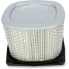 Filtru de aer de înlocuire EMGO 12-94050