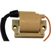 Bobină de aprindere pentru YAMAHA EMGO 24-72400 thumb
