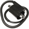Bobină de aprindere pentru YAMAHA EMGO 24-72403