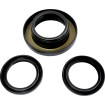 Set garnituri diferențial RR EPI PERFORMANCE WE290110 thumb