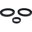 Set garnituri pentru diferențial RR EPI PERFORMANCE WE290124 thumb