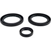 Set garnituri pentru diferențial RR EPI PERFORMANCE WE290124 thumb