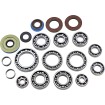 Set de garnituri pentru rulment DIF RR EPI PERFORMANCE WE290137 Set de garnituri pentru rulment DIF RR EPI PERFORMANCE WE290137 thumb