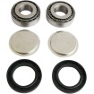 Set de reparație pentru braț oscilant EPI PERFORMANCE WE347056 Set de reparație pentru braț oscilant EPI PERFORMANCE WE347056 thumb