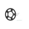 Pinion spate 42T 520 ESJOT 50-32177-42