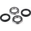 Set rulmenți pentru roata din față FACTORY LINKS FWK-G-002 Set rulmenți pentru roata din față FACTORY LINKS FWK-G-002 thumb