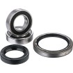 Set rulmenți pentru roata din față FACTORY LINKS FWK-T-021 Set rulmenți pentru roata din față FACTORY LINKS FWK-T-021 thumb