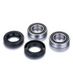 Set rulmenți pentru roata din față FACTORY LINKS FWK-Z-019 Set rulmenți pentru roata din față FACTORY LINKS FWK-Z-019 thumb