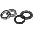 Set rulmenți pentru roata din față FACTORY LINKS FWK-Q-001 Set rulmenți pentru roata din față FACTORY LINKS FWK-Q-001 thumb