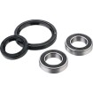 Set rulmenți roată față FACTORY LINKS FWK-H-047 Set rulmenți roată față FACTORY LINKS FWK-H-047 thumb