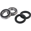 Set rulmenți pentru roata din față FACTORY LINKS FWK-K-029 Set rulmenți pentru roata din față FACTORY LINKS FWK-K-029 thumb
