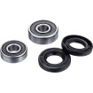 Set rulmenți pentru roata din față FACTORY LINKS FWK-K-031 Set rulmenți pentru roata din față FACTORY LINKS FWK-K-031 thumb