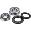 Set rulmenți pentru roata din spate FACTORY LINKS RWK-Y-146