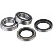 Set rulmenți pentru roata din spate FACTORY LINKS RWK-B-001 Set rulmenți pentru roata din spate FACTORY LINKS RWK-B-001 thumb