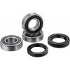 Set rulmenți pentru roata din spate FACTORY LINKS RWK-H-191
