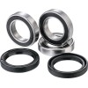 Set rulmenți pentru roata din spate FACTORY LINKS RWK-H-193