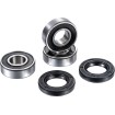 Set rulmenți pentru roata din spate FACTORY LINKS RWK-K-119 thumb