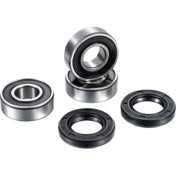 Set rulmenți pentru roata din spate FACTORY LINKS RWK-K-119