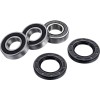 Set rulmenți pentru roata din spate FACTORY LINKS RWK-Y-145