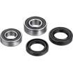 Set rulmenți pentru roata din spate FACTORY LINKS RWK-H-200 thumb