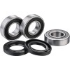 Set rulmenți pentru roata din spate FACTORY LINKS RWK-K-117