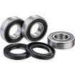 Set rulmenți pentru roata din spate FACTORY LINKS RWK-K-117 Set rulmenți pentru roata din spate FACTORY LINKS RWK-K-117 thumb