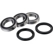 Set rulmenți pentru roata din spate FACTORY LINKS RWK-K-123 Set rulmenți pentru roata din spate FACTORY LINKS RWK-K-123 thumb