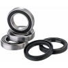 Set rulmenți pentru roata din spate FACTORY LINKS RWK-S-166