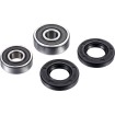 Set rulmenți pentru roata din spate FACTORY LINKS RWK-K-122 Set rulmenți pentru roata din spate FACTORY LINKS RWK-K-122 thumb