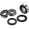 Set rulmenți pentru roata din spate FACTORY LINKS RWK-S-161