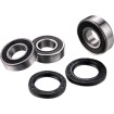 Set rulmenți pentru roata din spate FACTORY LINKS RWK-S-161 Set rulmenți pentru roata din spate FACTORY LINKS RWK-S-161 thumb