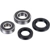 Set rulmenți pentru roată FT ATV FACTORY LINKS AFW-S-001