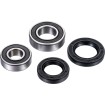 Set rulmenți pentru roată FT ATV FACTORY LINKS AFW-S-001 thumb