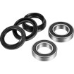 Set rulmenți pentru roată FT ATV FACTORY LINKS AFW-Y-002 Set rulmenți pentru roată FT ATV FACTORY LINKS AFW-Y-002 thumb