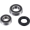 Set rulmenți pentru roată FT ATV FACTORY LINKS AFW-H-001 thumb