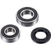Set rulmenți pentru roată FT ATV FACTORY LINKS AFW-H-006