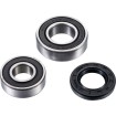 Set rulmenți pentru roată FT ATV FACTORY LINKS AFW-H-008 Set rulmenți pentru roată FT ATV FACTORY LINKS AFW-H-008 thumb