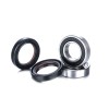 Set rulmenți roată seria race FACTORY LINKS FWR-H-033