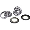 Set rulmenți pentru tubul de direcție KT FACTORY LINKS SSK-T-069