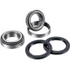 Set rulmenți pentru ax RR ATV FACTORY LINKS ARA-P-007