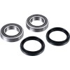 Set rulmenți pentru ax RR ATV FACTORY LINKS ARA-Y-010