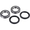 Set rulmenți pentru ax RR ATV FACTORY LINKS ARA-S-002