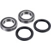 Set rulmenți pentru ax RR ATV FACTORY LINKS ARA-S-002 thumb
