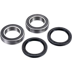 Set rulmenți pentru ax RR ATV FACTORY LINKS ARA-S-002